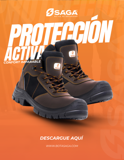 CATALOGO SAGA DIVIDIDO